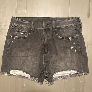 Dip Charcoal Distressed Denim Shorts